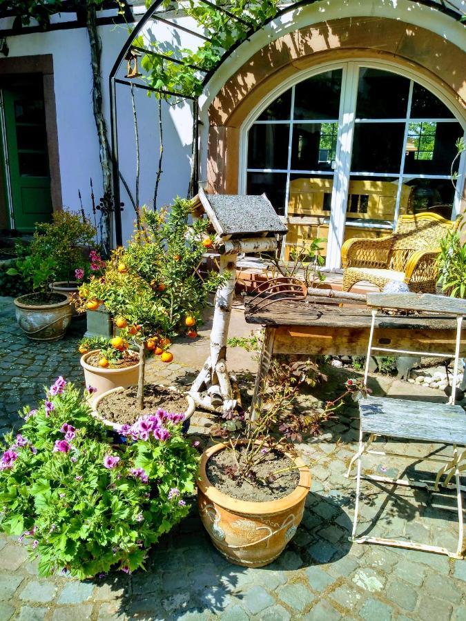 Willkommen In Unserem Kleinen Paradies Venningen Bagian luar foto